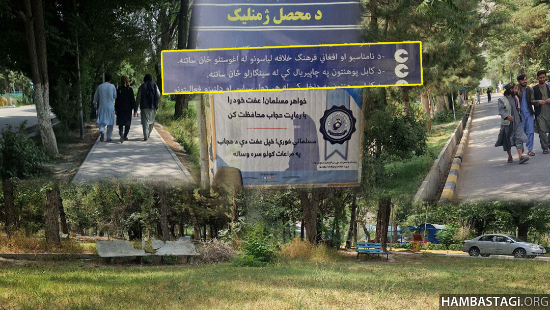 از مرکز علم تا لانه جهل: زوال اسفناک پوهنتون کابل