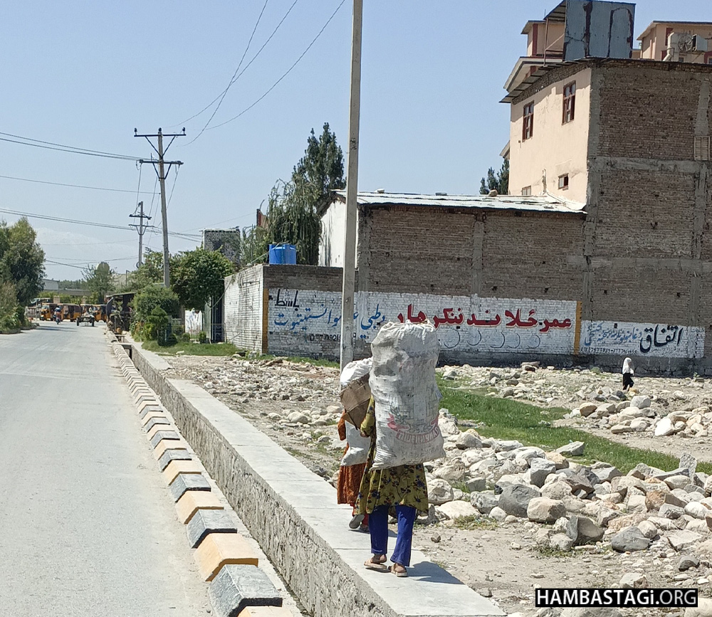 کودکان زبالهگرد در جلالآباد کودکان زبالهگرد در جلالآباد