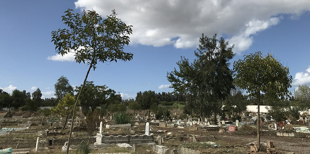 قبرستان قربانیان قتلعام بنطلحه قبرستان قربانیان قتلعام بنطلحه