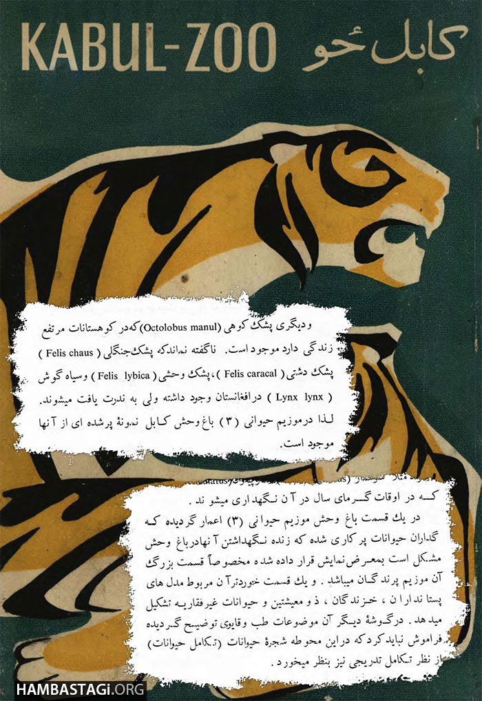 روی جلد کتلاک باغوحش روی جلد کتلاک باغوحش