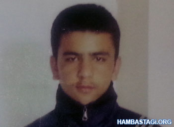 Safa Ahmad Safa Ahmad