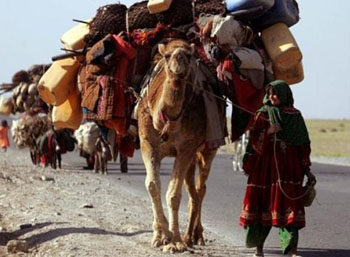 چوپانهای افغانستان چوپانهای افغانستان