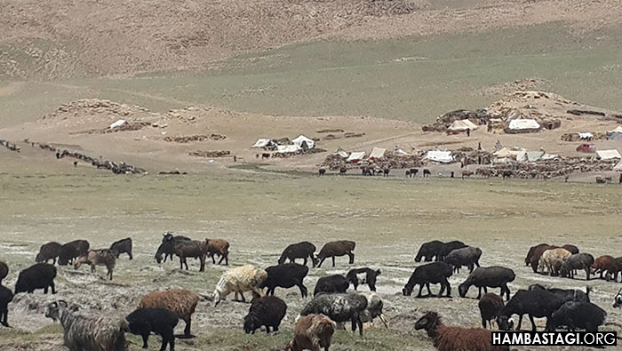 نمای بامیان نمای بامیان