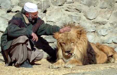 Marjan in Kabul Zoo