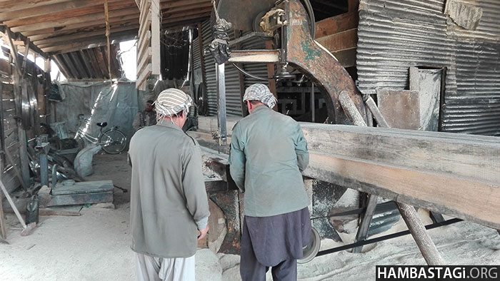 روزگار تیره مزدورکاران چوب‌فروشی‌های کابل