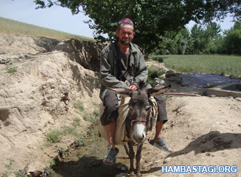 قریه بالادوری قریه بالادوری