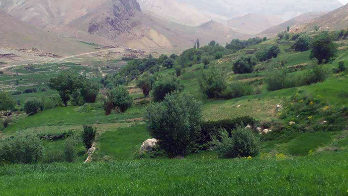 ولسوالی پرچمن ولسوالی پرچمن