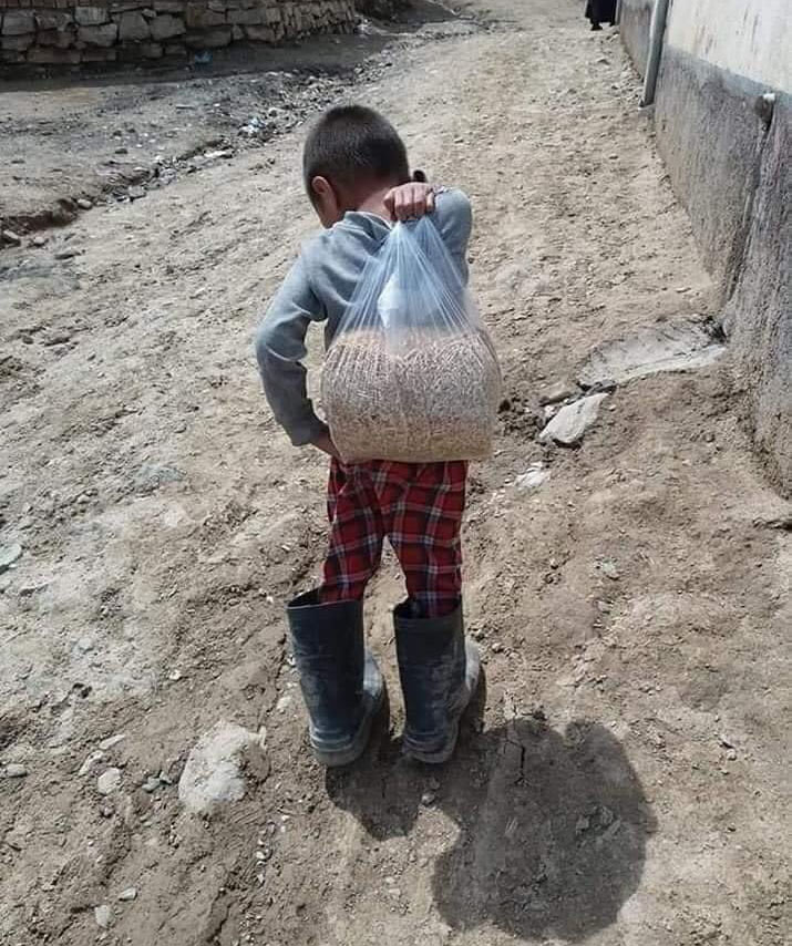 کودکی با چهارونیم کیلو گندم اهدایی حکومت