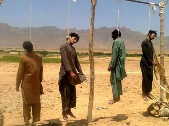 جنایات طالبی در فراه جنایات طالبی در فراه