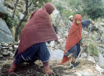 نورستان