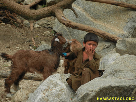 نورستان