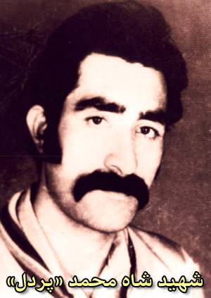 شاه محمد پردل