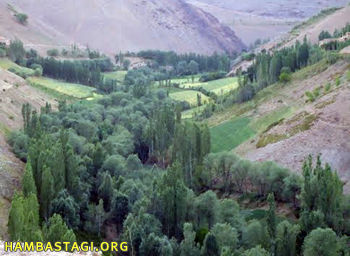 ورس یکی از دور افتاده ترین ولسوالی های ولایت فراموش شدهی بامیان است ورس یکی از دور افتاده ترین ولسوالی های ولایت فراموش شدهی بامیان است