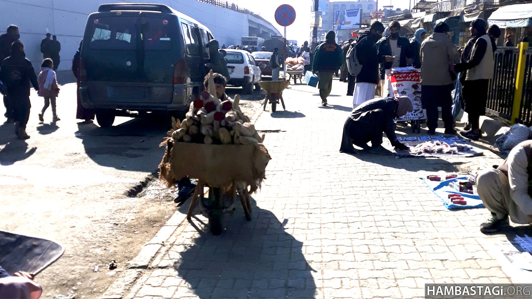 یونس یونس