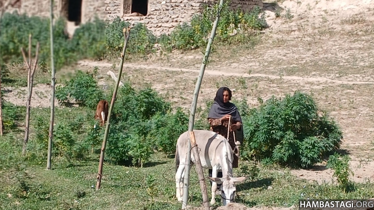 بدخشان، سرزمین رنج با گنجهای غارتشده به دست خاینان و میهنفروشان